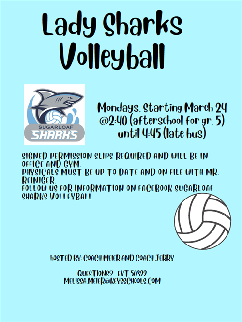Volleyball Clinic